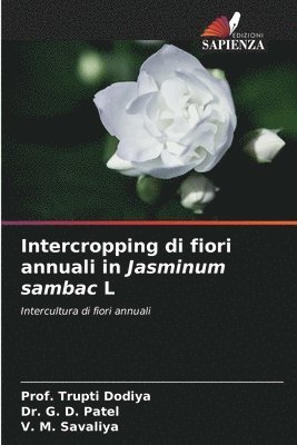 Intercropping di fiori annuali in Jasminum sambac L 1