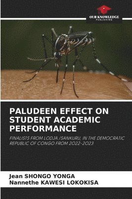 Paludeen Effect on Student Academic Performance 1