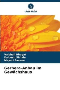 bokomslag Gerbera-Anbau im Gewchshaus