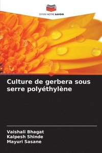 bokomslag Culture de gerbera sous serre polythylne