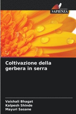 Coltivazione della gerbera in serra 1