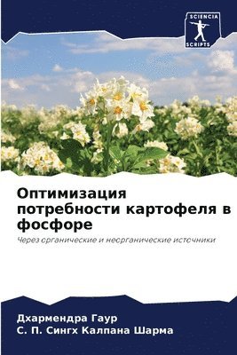 &#1054;&#1087;&#1090;&#1080;&#1084;&#1080;&#1079;&#1072;&#1094;&#1080;&#1103; &#1087;&#1086;&#1090;&#1088;&#1077;&#1073;&#1085;&#1086;&#1089;&#1090;&#1080; 1