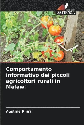 bokomslag Comportamento informativo dei piccoli agricoltori rurali in Malawi