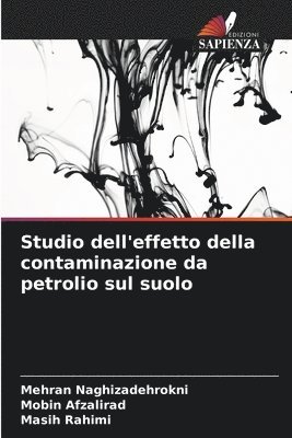 bokomslag Studio dell'effetto della contaminazione da petrolio sul suolo