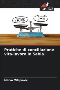 bokomslag Pratiche di conciliazione vita-lavoro in Sebia