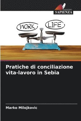 bokomslag Pratiche di conciliazione vita-lavoro in Sebia