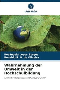 bokomslag Wahrnehmung der Umwelt in der Hochschulbildung