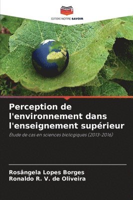 bokomslag Perception de l'environnement dans l'enseignement suprieur