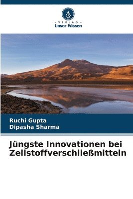 bokomslag Jngste Innovationen bei Zellstoffverschliemitteln