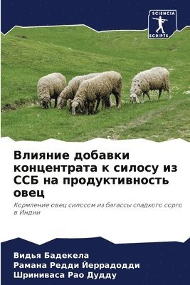 Влияние добавки концентрата к силосу из С&#105