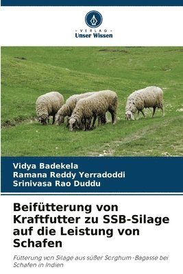 Beiftterung von Kraftfutter zu SSB-Silage auf die Leistung von Schafen 1