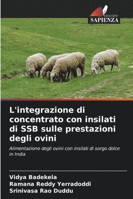 bokomslag L'integrazione di concentrato con insilati di SSB sulle prestazioni degli ovini