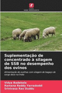 bokomslag Suplementao de concentrado  silagem de SSB no desempenho dos ovinos