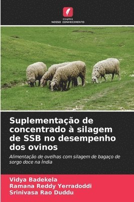 bokomslag Suplementao de concentrado  silagem de SSB no desempenho dos ovinos