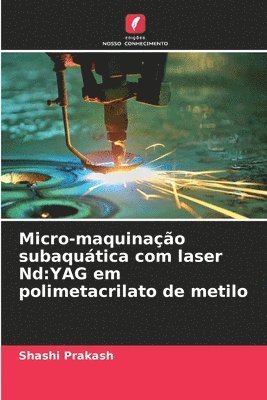 Shashi Prakash - Micro-maquinação subaquática com laser Nd, Häftad