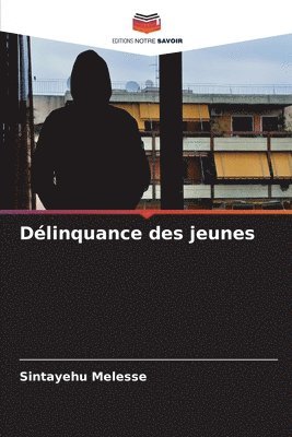 bokomslag Dlinquance des jeunes