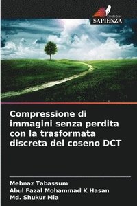 bokomslag Compressione di immagini senza perdita con la trasformata discreta del coseno DCT