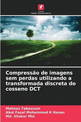 Compresso de imagens sem perdas utilizando a transformada discreta do cosseno DCT 1