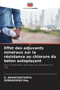 bokomslag Effet des adjuvants minraux sur la rsistance au chlorure du bton autoplaant