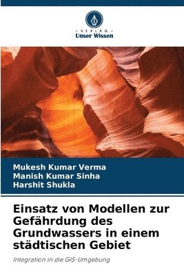 bokomslag Einsatz von Modellen zur Gefhrdung des Grundwassers in einem stdtischen Gebiet