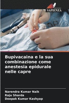 bokomslag Bupivacaina e la sua combinazione come anestesia epidurale nelle capre