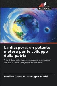 bokomslag La diaspora, un potente motore per lo sviluppo della patria