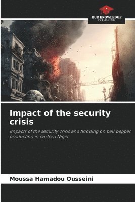 Impact of the security crisis 1