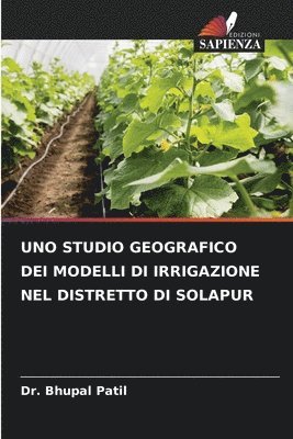 bokomslag Uno Studio Geografico Dei Modelli Di Irrigazione Nel Distretto Di Solapur