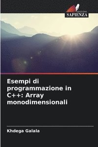 bokomslag Esempi di programmazione in C++