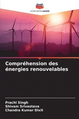 Compréhension des énergies renouvelables