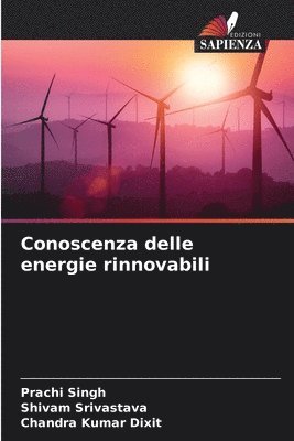 bokomslag Conoscenza delle energie rinnovabili