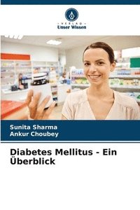 bokomslag Diabetes Mellitus - Ein berblick