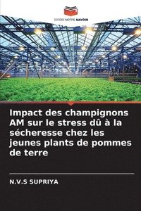 bokomslag Impact des champignons AM sur le stress d  la scheresse chez les jeunes plants de pommes de terre