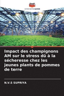 bokomslag Impact des champignons AM sur le stress dû à la sécheresse chez les jeunes plants de pommes de terre