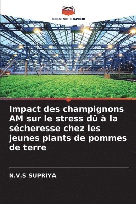 Impact des champignons AM sur le stress d  la scheresse chez les jeunes plants de pommes de terre 1