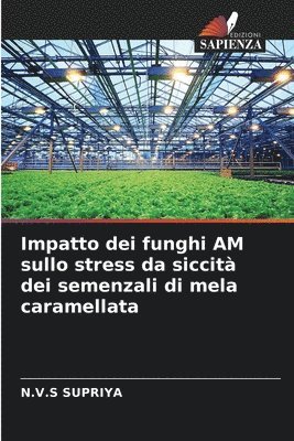 bokomslag Impatto dei funghi AM sullo stress da siccit dei semenzali di mela caramellata