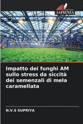 N V S Supriya, N. V. S. Supriya, N.V.S SUPRIYA, N. V. S Supriya - Impatto dei funghi AM sullo stress da siccità dei semenzali di mela caramellata, Häftad