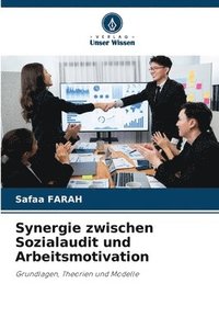 bokomslag Synergie zwischen Sozialaudit und Arbeitsmotivation