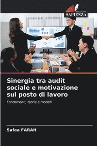 bokomslag Sinergia tra audit sociale e motivazione sul posto di lavoro