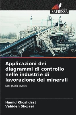 bokomslag Applicazioni dei diagrammi di controllo nelle industrie di lavorazione dei minerali