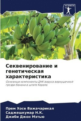 Секвенирование и генетическая характери&