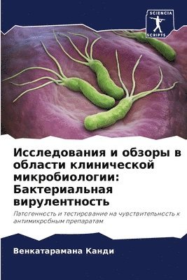 ???????????? ? ?????? ? ??????? ????????&#1082 1