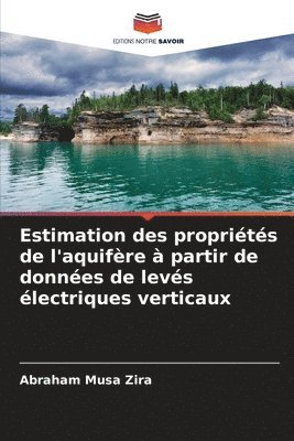 bokomslag Estimation des proprits de l'aquifre  partir de donnes de levs lectriques verticaux