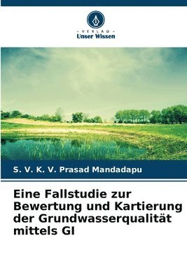 bokomslag Eine Fallstudie zur Bewertung und Kartierung der Grundwasserqualitt mittels GI