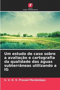 bokomslag Um estudo de caso sobre a avaliao e cartografia da qualidade das guas subterrneas utilizando a IG