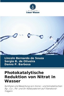 Lincoln Bernardo de Souza, Sergio B de Oliveira, Danns P Barbosa, Sergio B. de Oliveira, Danns P. Barbosa - Photokatalytische Reduktion von Nitrat in Wasser, Häftad