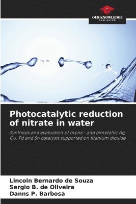 bokomslag Photocatalytic reduction of nitrate in water