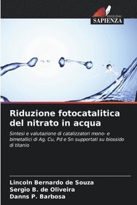 bokomslag Riduzione fotocatalitica del nitrato in acqua