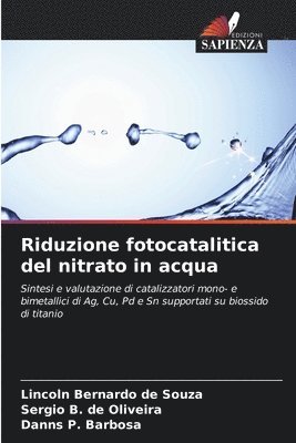 bokomslag Riduzione fotocatalitica del nitrato in acqua