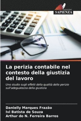 bokomslag perizia contabile nel contesto della giustizia del lavoro